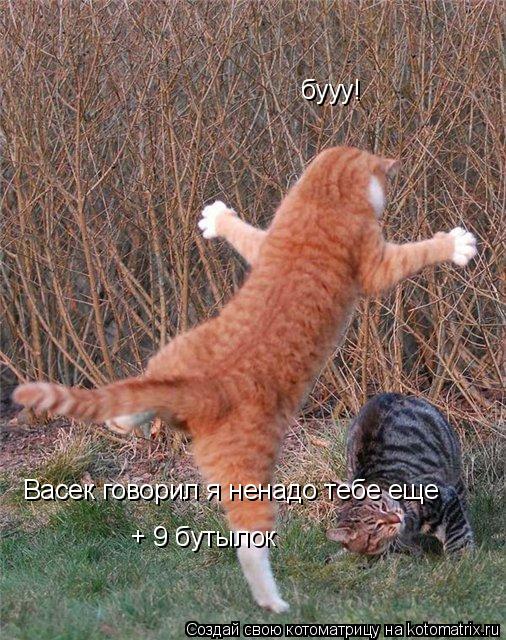 Котоматрица: бууу! Васек говорил я ненадо тебе еще  + 9 бутылок