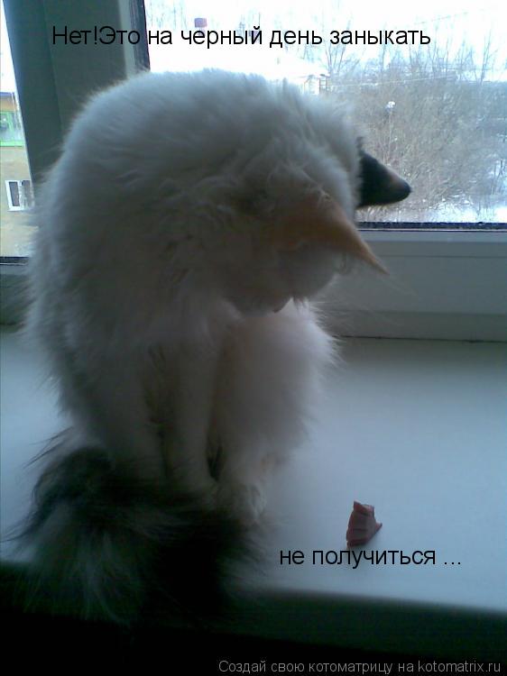 Котоматрица: Нет!Это на черный день заныкать не получиться! Нет!Это на черный день заныкать  не получиться ...