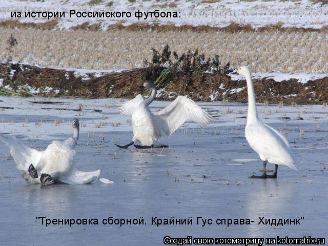 Котоматрица: из истории Российского футбола: "Тренировка сборной. Крайний Гус справа- Хиддинк"