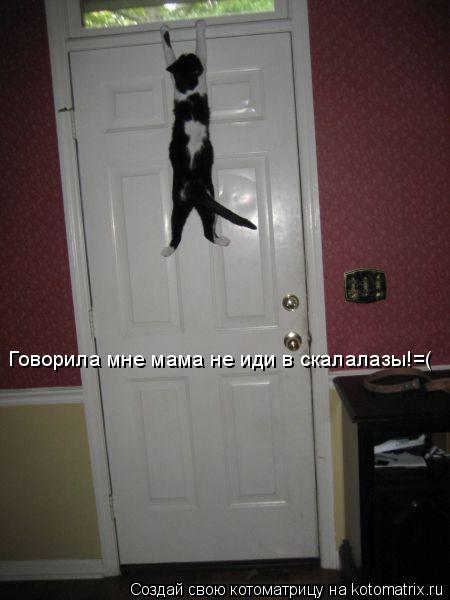Котоматрица: Говорила мне мама не иди в скалалазы!=(