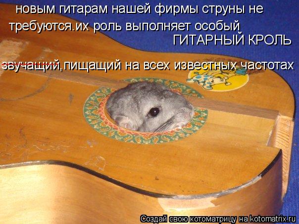 Котоматрица: новым гитарам нашей фирмы струны не требуются.их роль выполняет особый  ГИТАРНЫЙ КРОЛЬ звучащий,пищащий на всех известных частотах -------------