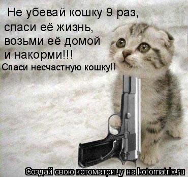 Котоматрица: Не убевай кошку 9 раз, возьми её домой спаси её жизнь, и накорми!!! Спаси несчастную кошку!!