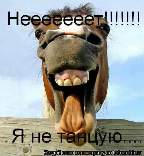Котоматрица: Нееееееет!!!!!!!  Я не танцую.....