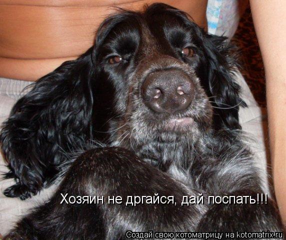 Котоматрица: Хозяин не дргайся, дай поспать!!!