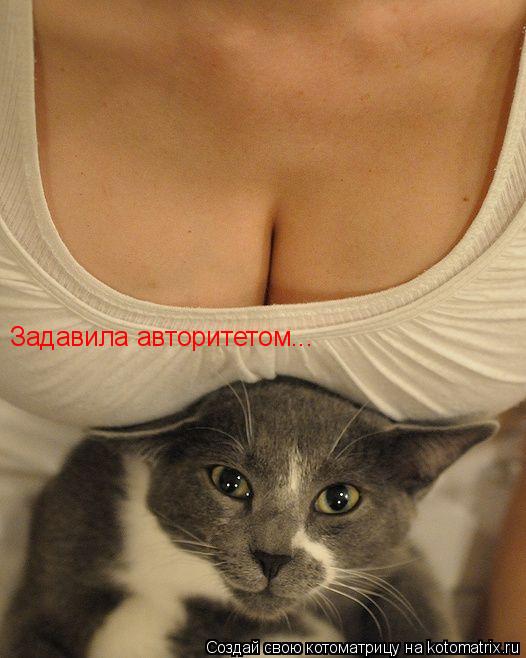 Котоматрица: Задавила авторитетом...