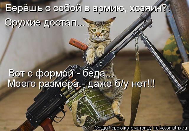Котоматрица: Берёшь с собой в армию, хозяин?! Оружие достал... Вот с формой - беда... Моего размера - даже б/у нет!!!