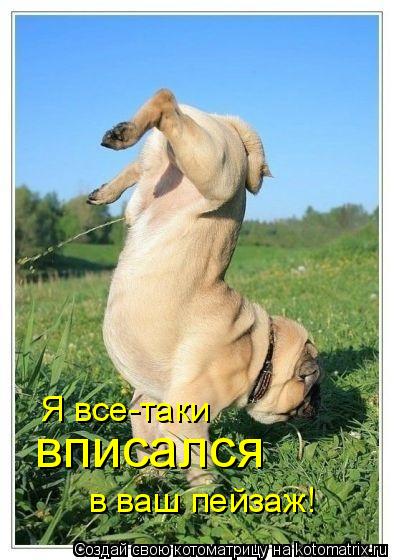 Я все-таки вписался в ваш пейзаж!... Котоматрица: Я все-таки вписался в ваш пейзаж!