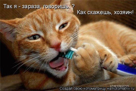 Котоматрица: Как скажешь, хозяин! Так я - зараза, говоришь: ?