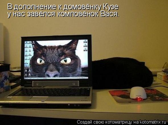 В дополнение к домовёнку Кузе у нас завёлся комповёнок Вася.... Котоматрица: В дополнение к домовёнку Кузе у нас завёлся комповёнок Вася.