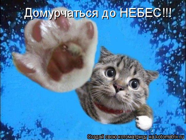 Домурчаться до НЕБЕС!!!... Котоматрица: Домурчаться до НЕБЕС!!!