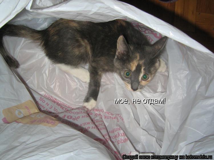 Котоматрица: мое, не отдам!