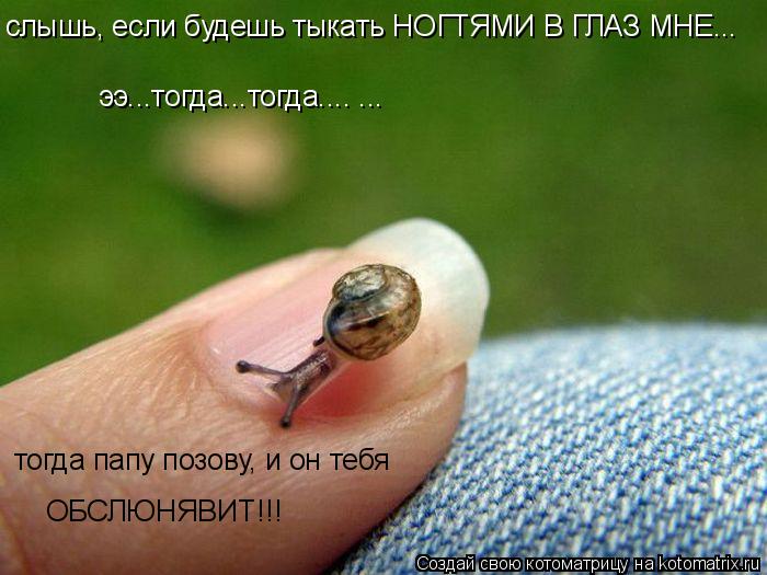 Котоматрица: слышь, если будешь тыкать НОГТЯМИ В ГЛАЗ МНЕ... ээ...тогда...тогда.... ... тогда папу позову, и он тебя ОБСЛЮНЯВИТ!!!