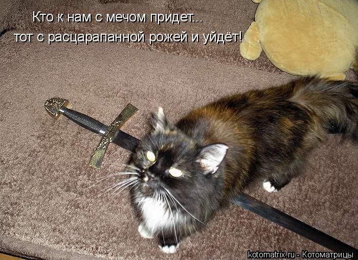 Кто к нам с мечом придет... тот с расцарапанной рожей и уйдёт!... Котоматрица: Кто к нам с мечом придет... тот с расцарапанной рожей и уйдёт!