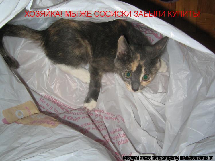 Котоматрица: ХОЗЯЙКА! МЫ ЖЕ СОСИСКИ ЗАБЫЛИ КУПИТЬ!