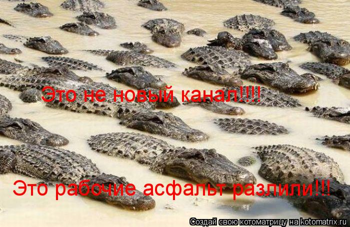 Котоматрица: Это рабочие асфальт разлили!!! Это не новый канал!!!!