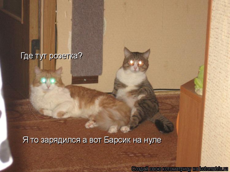 Котоматрица: Где тут розетка? Я то зарядился а вот Барсик на нуле