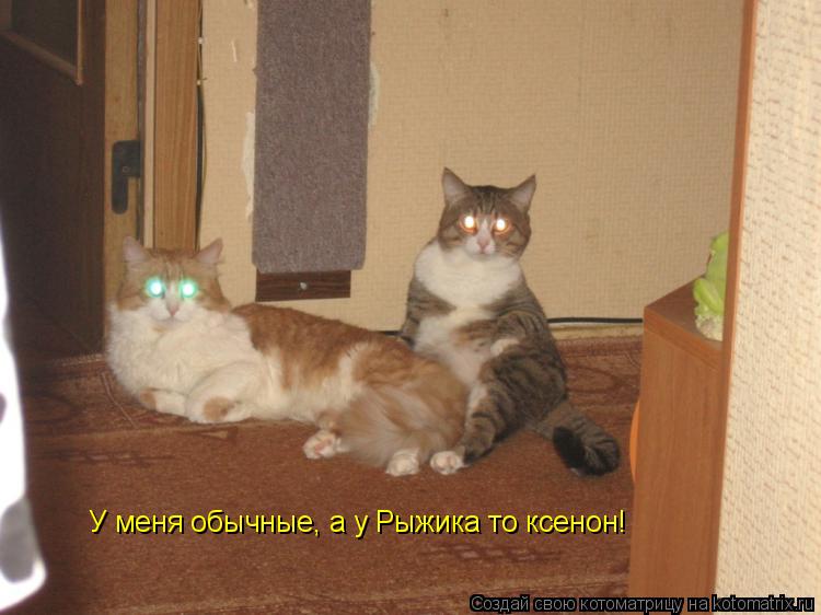 Котоматрица: У меня обычные, а у Рыжика то ксенон!