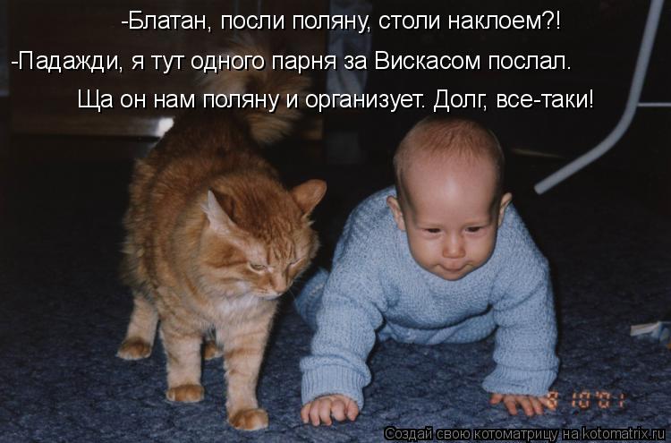 Котоматрица: -Блатан, посли поляну, столи наклоем?! -Падажди, я тут одного парня за Вискасом послал. Ща он нам поляну и организует. Долг, все-таки!