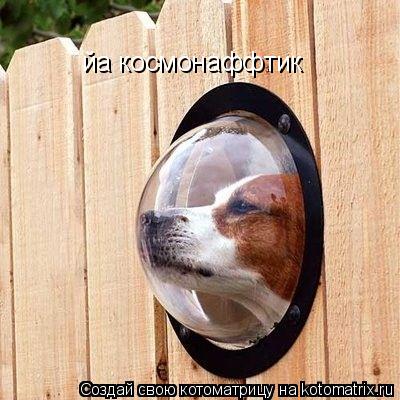 Котоматрица: йa космонаффтик