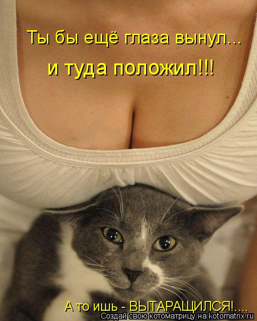 Ты бы ещё глаза вынул... и туда положил!!! А то ишь - ВЫТАРАЩИЛСЯ!....... Котоматрица: Ты бы ещё глаза вынул... и туда положил!!! А то ишь - ВЫТАРАЩИЛСЯ!....