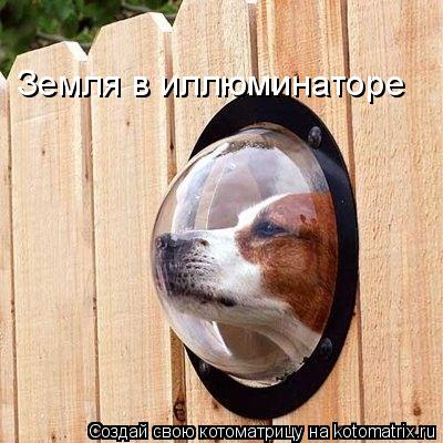 Котоматрица: Земля в иллюминаторе