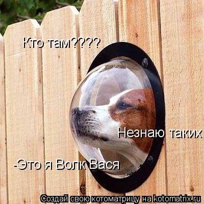 Котоматрица: Кто там???? Кто там???? -Это я Волк Вася Незнаю таких!!!! Незнаю таких!!!!