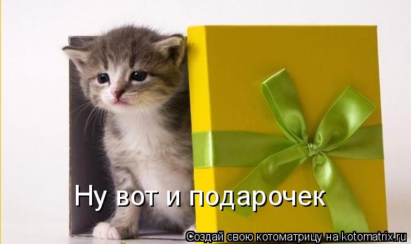 Котоматрица: Ну вот и подарочек