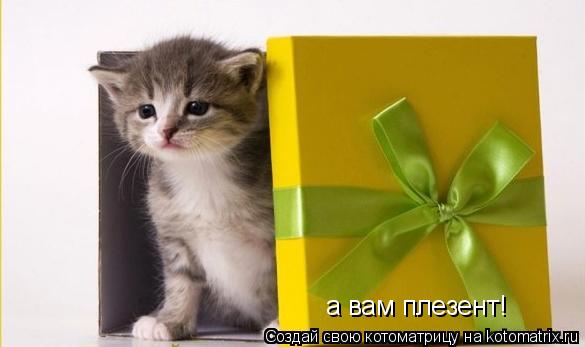 Котоматрица: а вам плезент!