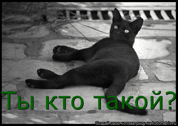 Котоматрица: Ты кто такой?