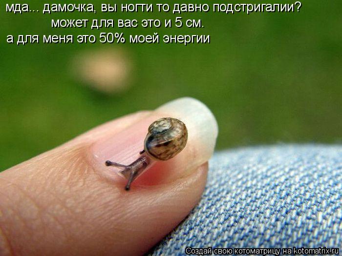 Котоматрица: мда... дамочка, вы ногти то давно подстригалии? может для вас это и 5 см. а для меня это 50% моей энергии