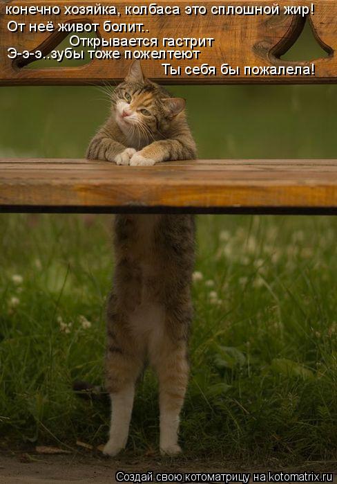 Котоматрица: конечно хозяйка, колбаса это сплошной жир! От неё живот болит.. Открывается гастрит Э-э-э..зубы тоже пожелтеют Ты себя бы пожалела!