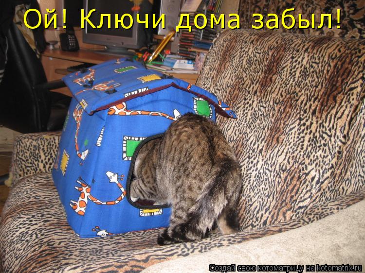 Котоматрица: Ой! Ключи дома забыл!
