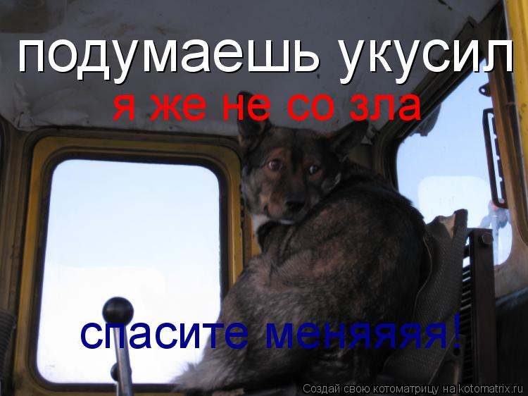 Котоматрица: подумаешь укусил  я же не со зла спасите меняяяя!