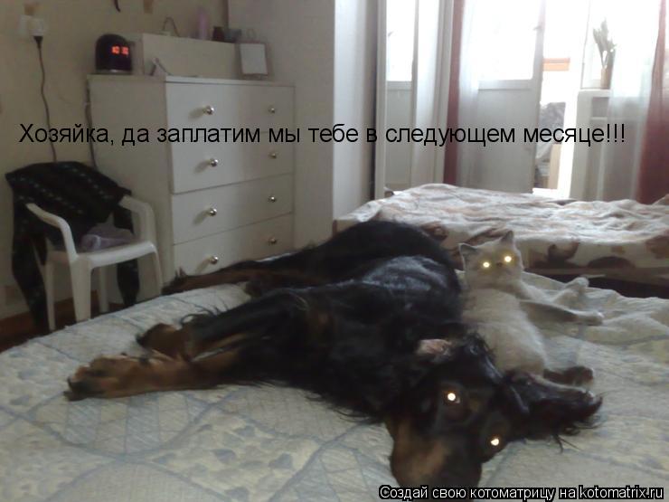 Котоматрица: Хозяйка, да заплатим мы тебе в следующем месяце!!!