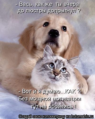 - Вась, как же ты вчера до люстры допрыгнул ? - Вот и я думаю...КАК ? Без мощной мотивации тут не об... Котоматрица: - Вась, как же ты вчера до люстры допрыгнул ? - Вот и я думаю...КАК ? Без мощной мотивации тут не обойтись !