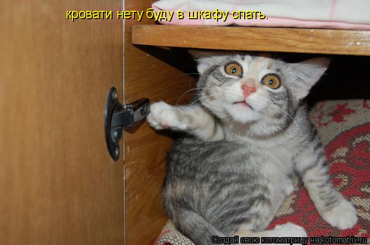 Котоматрица: кровати нету буду в шкафу спать.