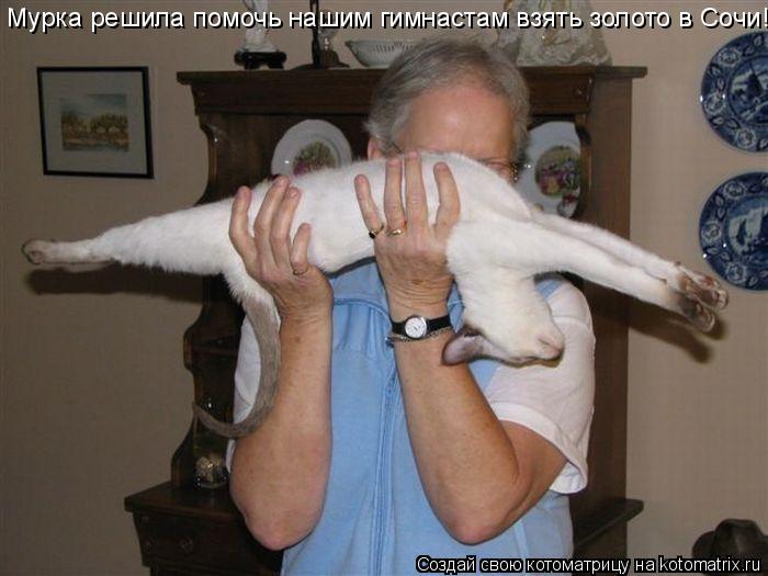 Котоматрица: Мурка решила помочь нашим гимнастам взять золото в Сочи!