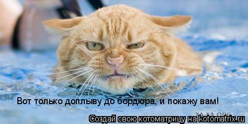 Котоматрица: Вот только доплыву до бордюра, и покажу вам!