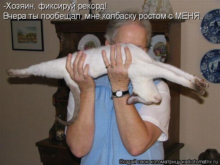 Котоматрица: -Хозяин, фиксируй рекорд!  Вчера ты пообещал  мне колбаску ростом с МЕНЯ...