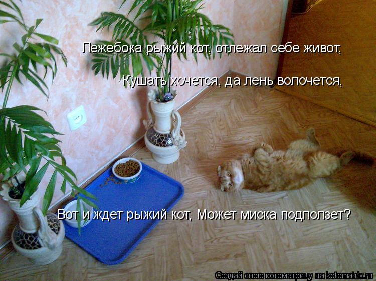 Котоматрица: Вот и ждет рыжий кот, Может миска подползет? Кушать хочется, да лень волочется, Лежебока рыжий кот, отлежал себе живот,