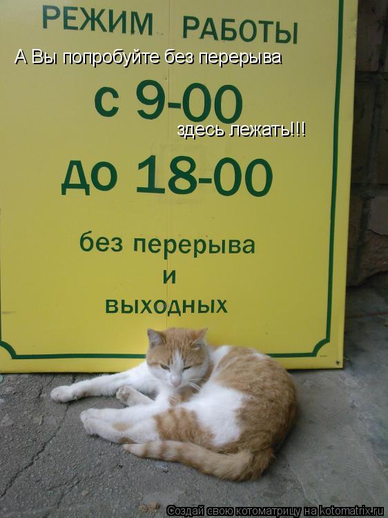 Котоматрица: А Вы попробуйте без перерыва  здесь лежать!!!