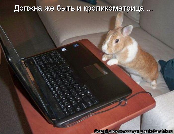 Котоматрица: Должна же быть и кроликоматрица ...
