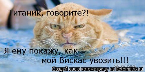 Котоматрица: Титаник, говорите?! Я ему покажу, как  мой Вискас увозить!!!