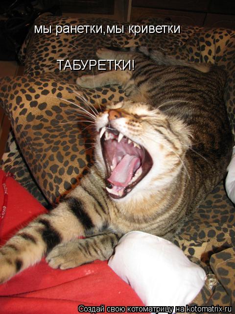 Котоматрица: мы ранетки,мы криветки ТАБУРЕТКИ!