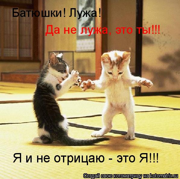 Котоматрица: Батюшки! Лужа! Да не лужа, это ты!!! Я и не отрицаю - это Я!!!