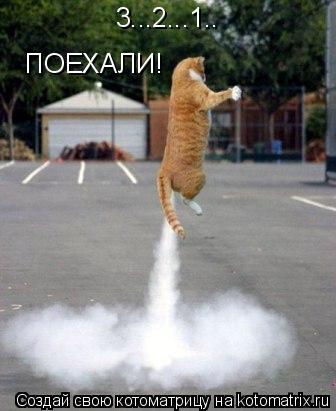 Котоматрица: 3...2...1.. ПОЕХАЛИ!
