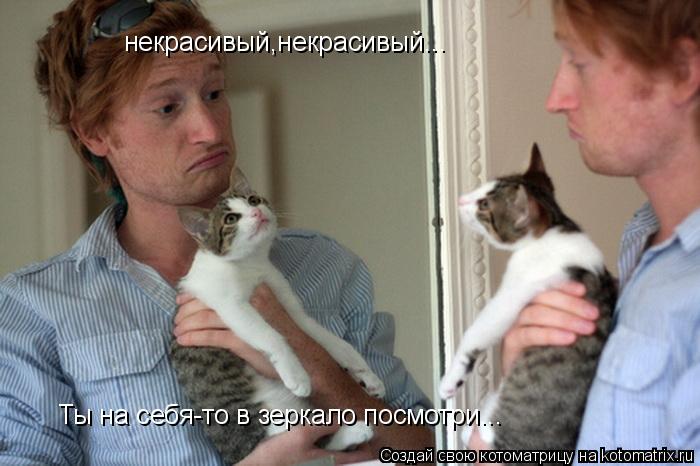 Котоматрица: некрасивый,некрасивый... Ты на себя-то в зеркало посмотри...
