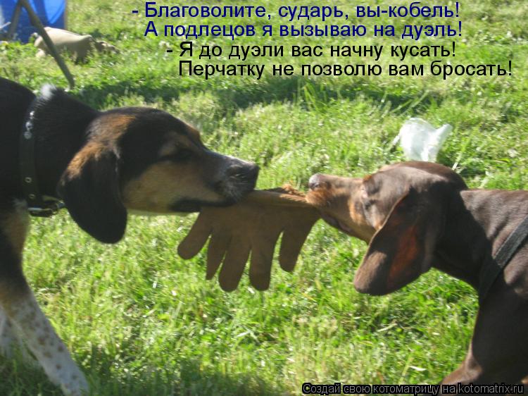 А подлецов я вызываю на дуэль! - Я до дуэли вас начну кусать! Перчатку не позволю вам бросать! - Благ... Котоматрица: А подлецов я вызываю на дуэль! - Я до дуэли вас начну кусать! Перчатку не позволю вам бросать! - Благоволите, сударь, вы-кобель!
