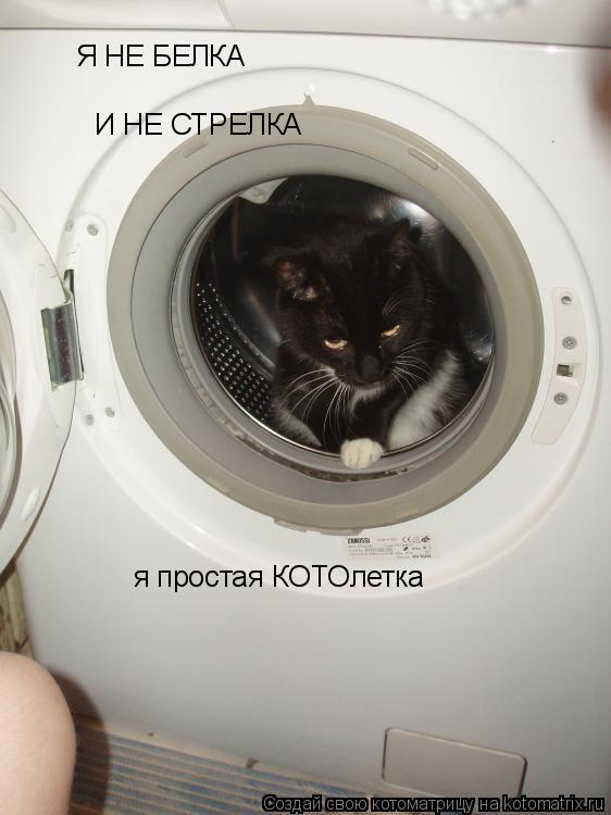 Я НЕ БЕЛКА И НЕ СТРЕЛКА я простая КОТОлетка... Котоматрица: Я НЕ БЕЛКА И НЕ СТРЕЛКА я простая КОТОлетка