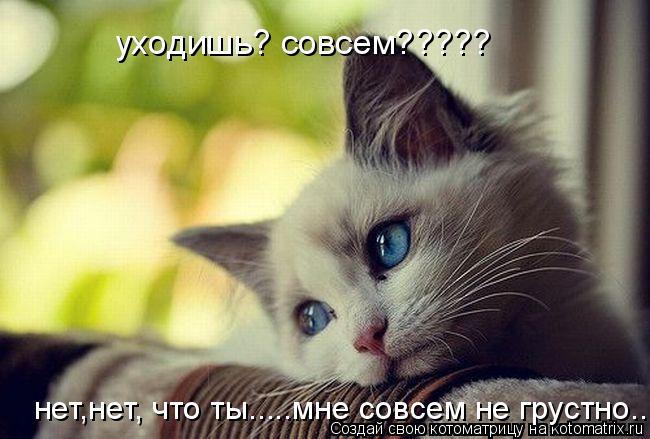 Котоматрица: уходишь? совсем????? нет,нет, что ты.....мне совсем не грустно......
